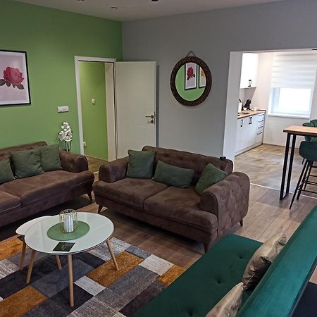Dream House Appartement Vrsac Buitenkant foto