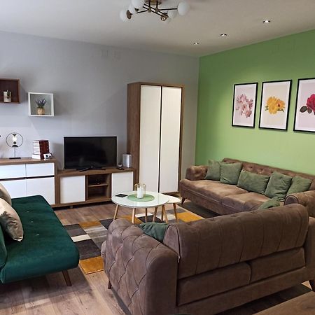 Dream House Appartement Vrsac Buitenkant foto