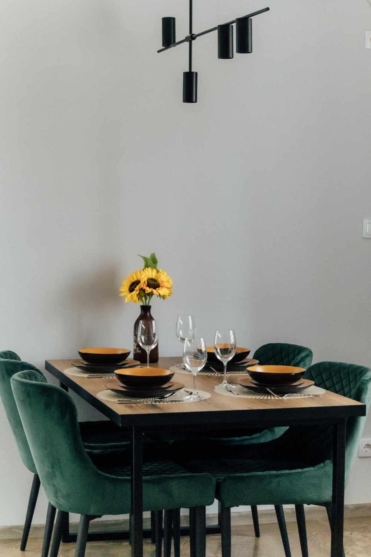 Dream House Appartement Vrsac Buitenkant foto