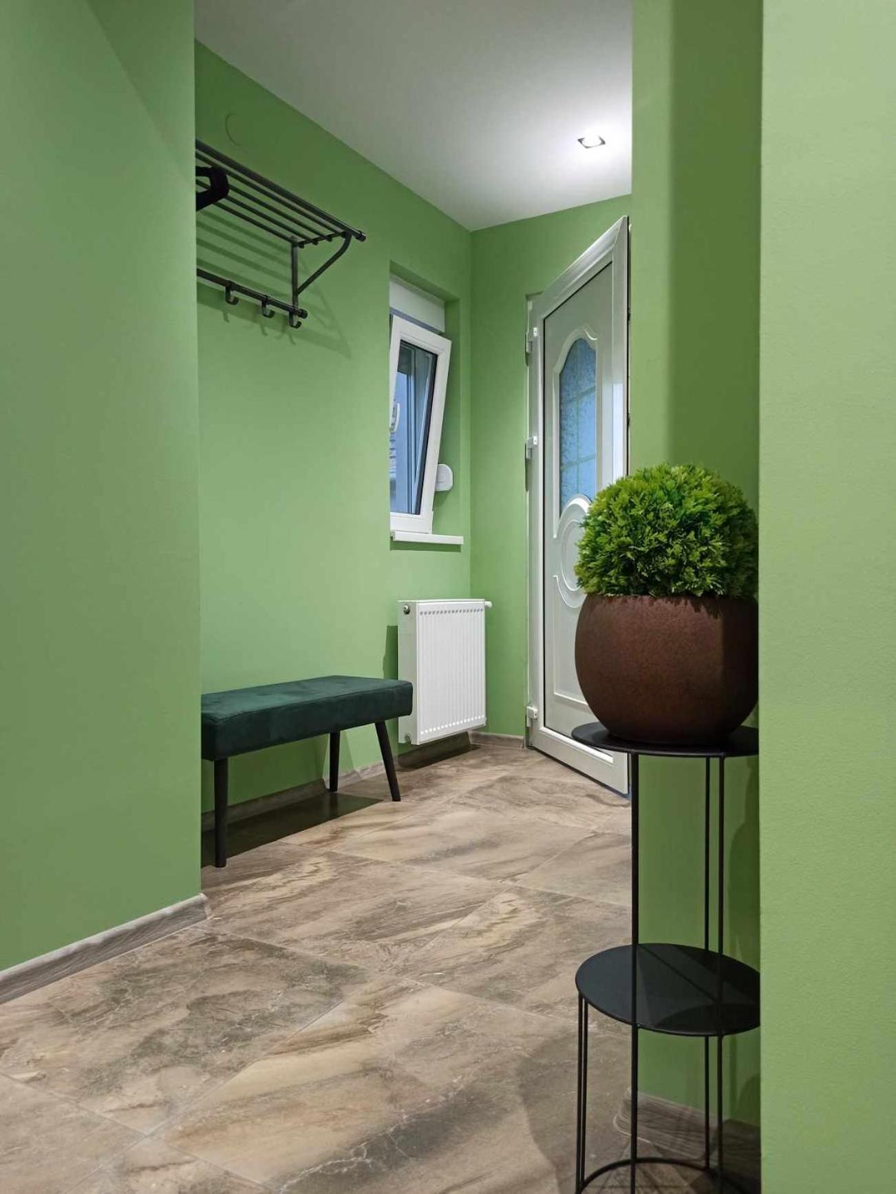 Dream House Appartement Vrsac Buitenkant foto
